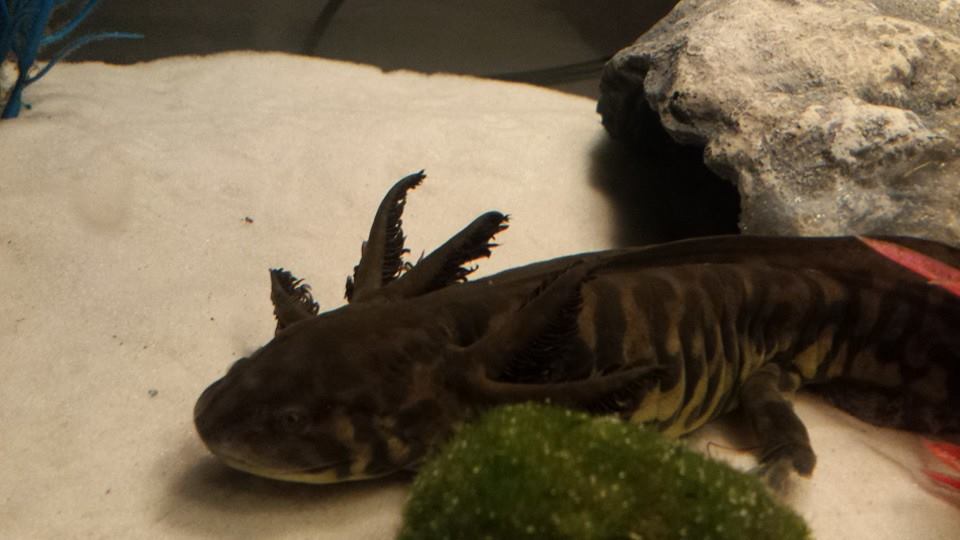 Kumi 5 (3 12 2014) Day 24