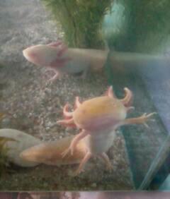 Lenny just waiting for me too come out and say hello ; ) haha or Mabey just a bite too eat