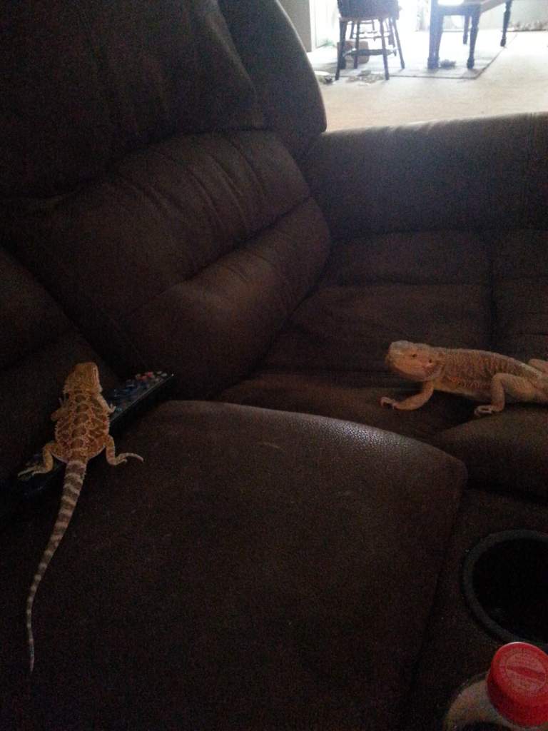 Leonidas and Xerxes
