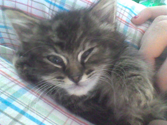 Little baby Macie