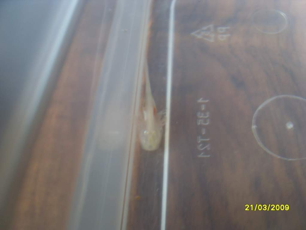 little lotl

(time stamp is wrong)