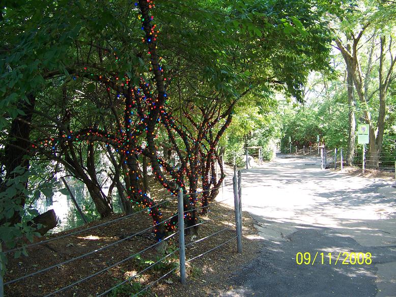 LitTree