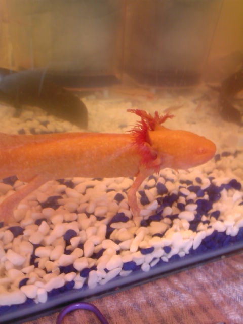look at me im so pretty for a boy