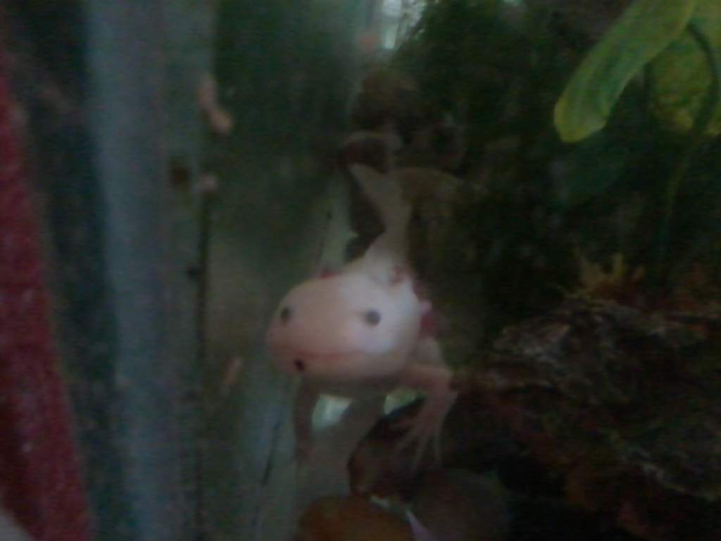 Lookin' good Edward!
