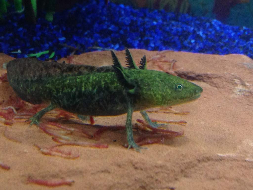 Looking all majestic!
