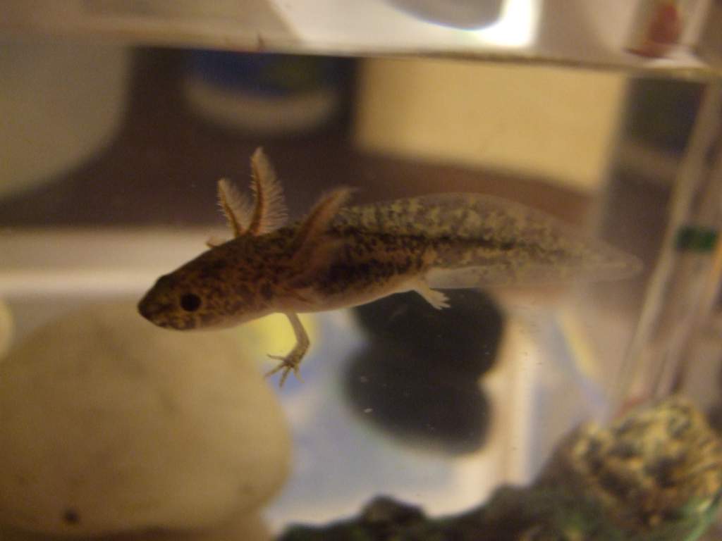 Lookit his little toes! Perfectly silhouetted against that rock! XD
