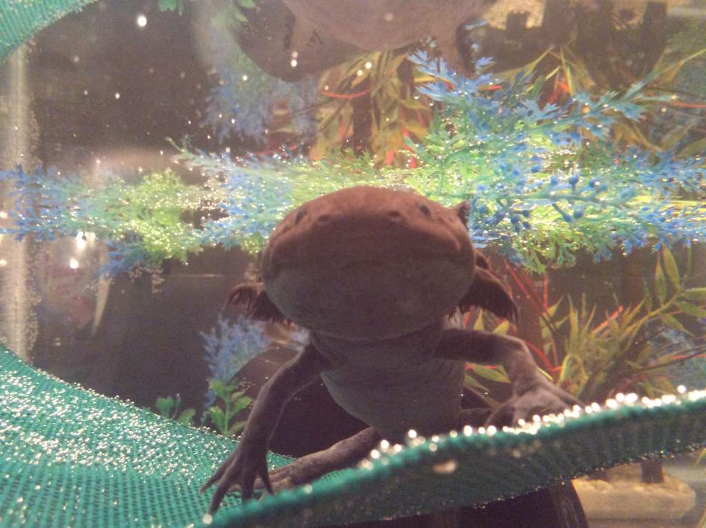 love my new hammock