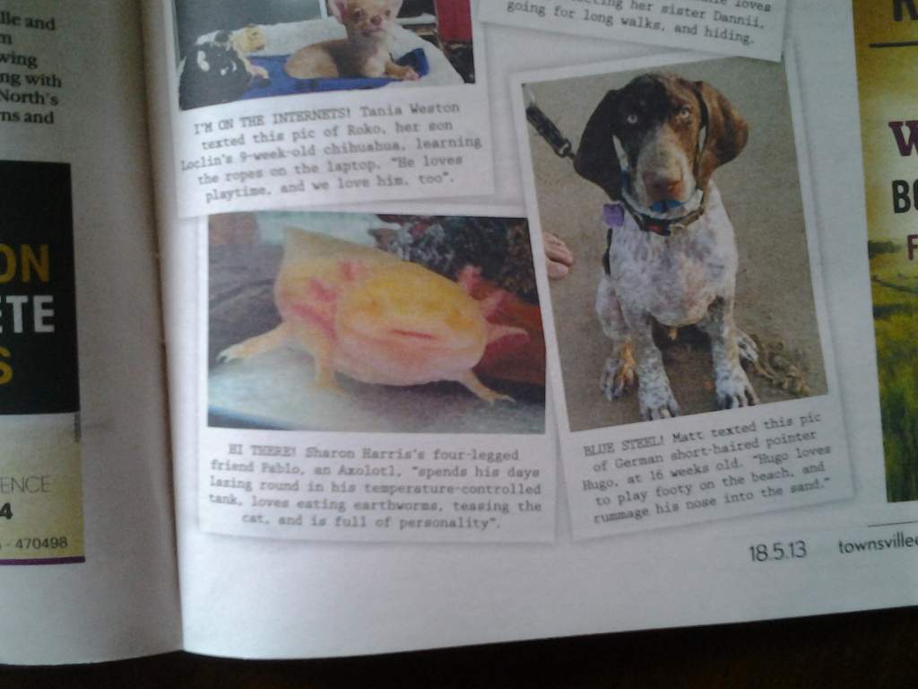 Made it into the paper