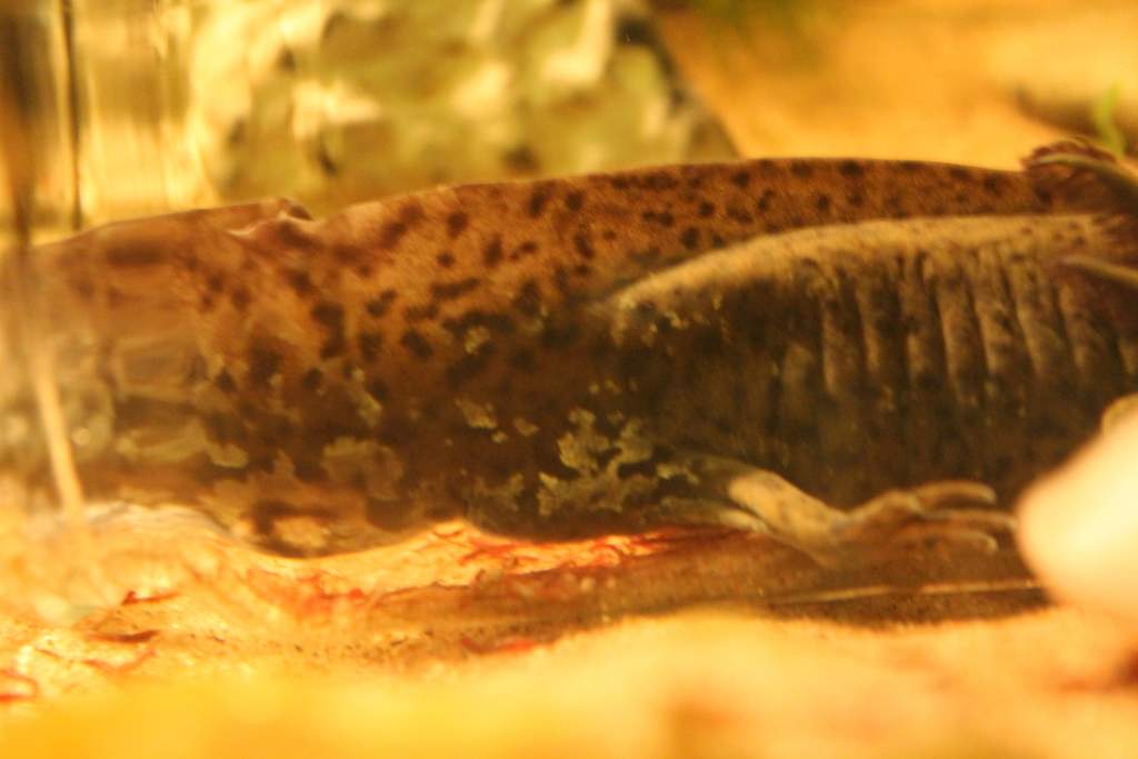 Male or female?