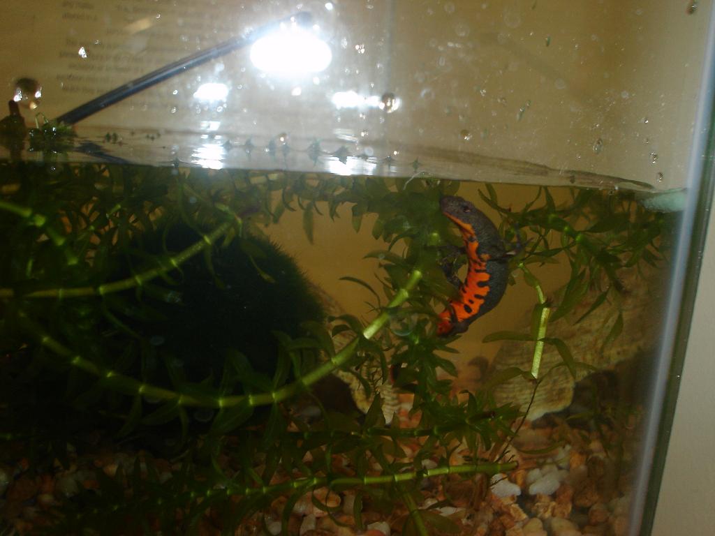March2011 129