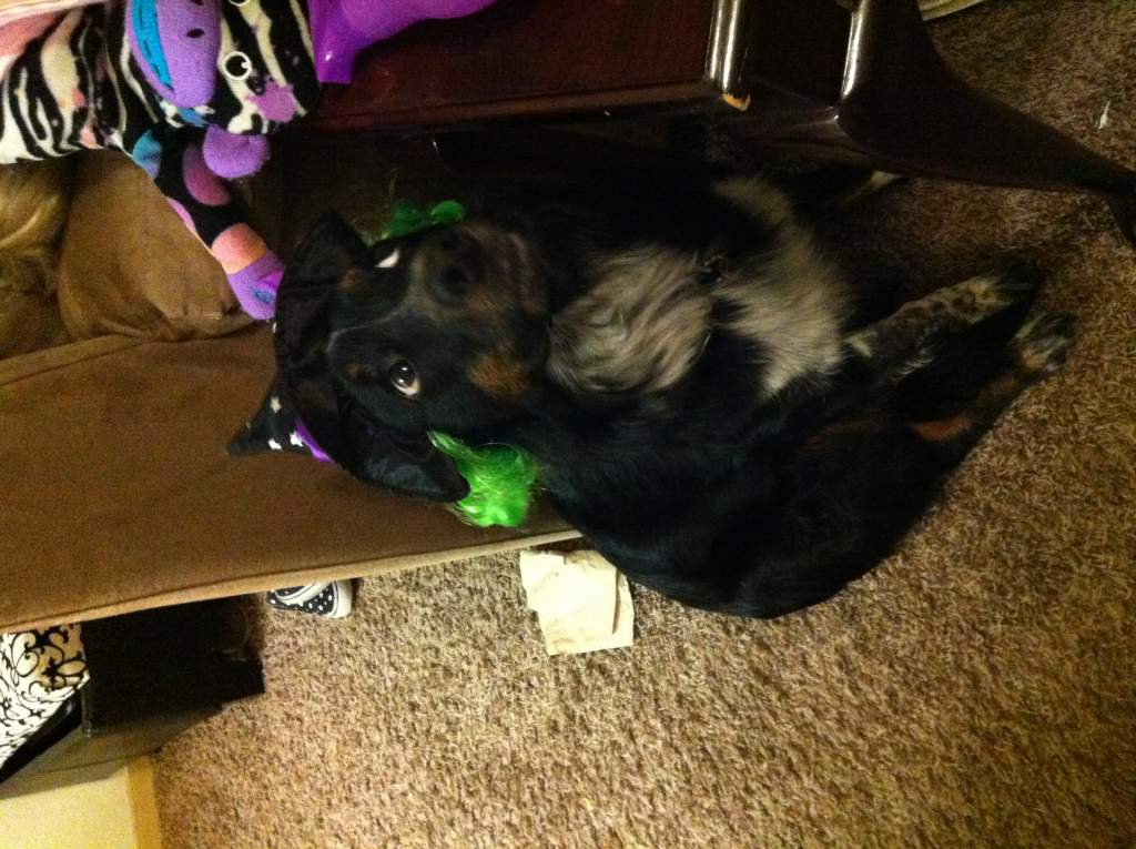 "Mom seriously, take this off."