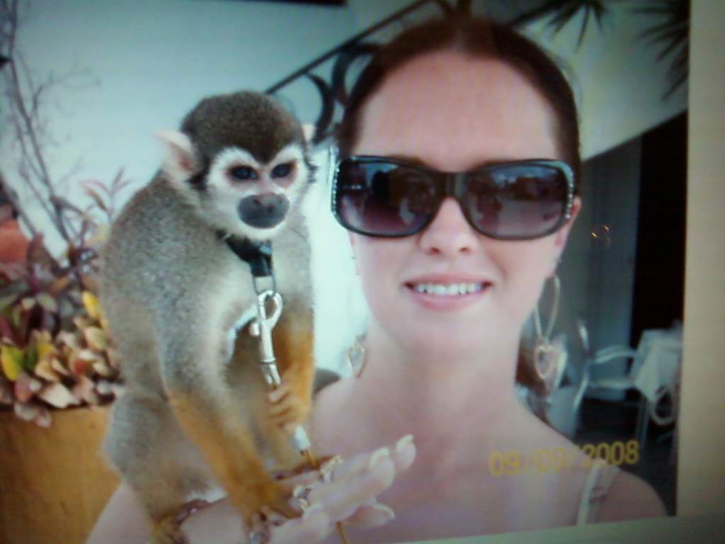 monkey