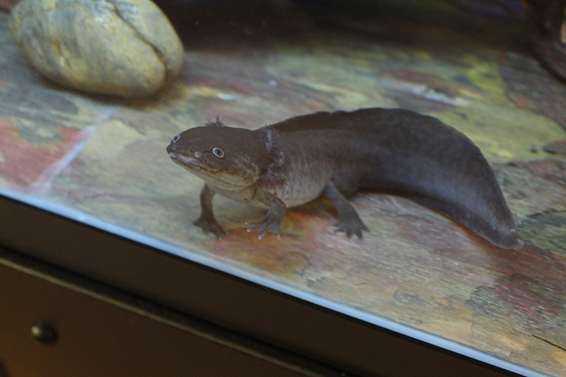 More of steve being photogenic c: