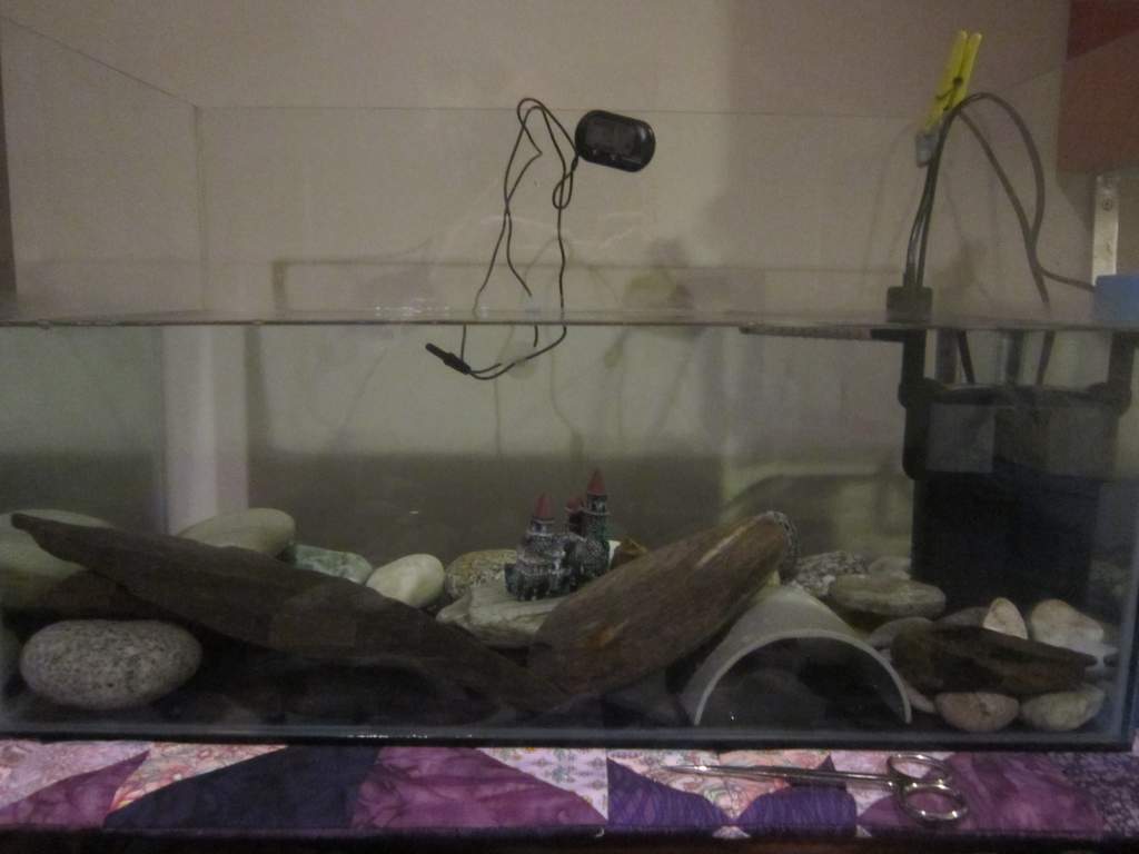 Mudkip's first tank