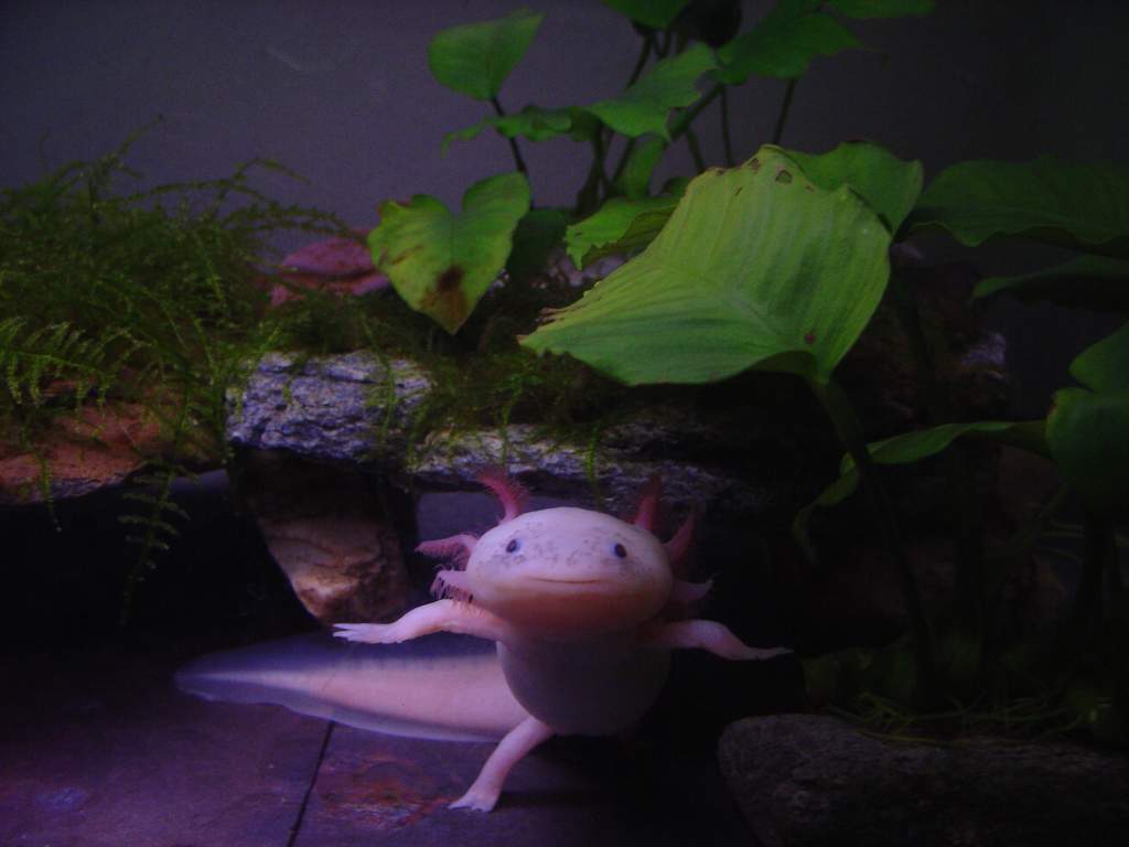 Muugen smiling!!