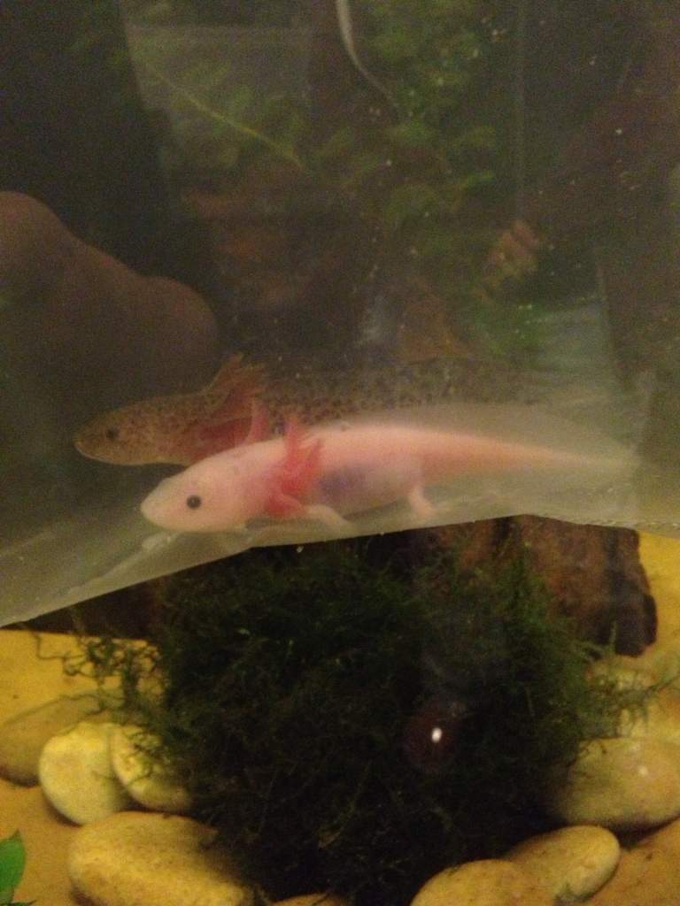 My 2 New Friends!