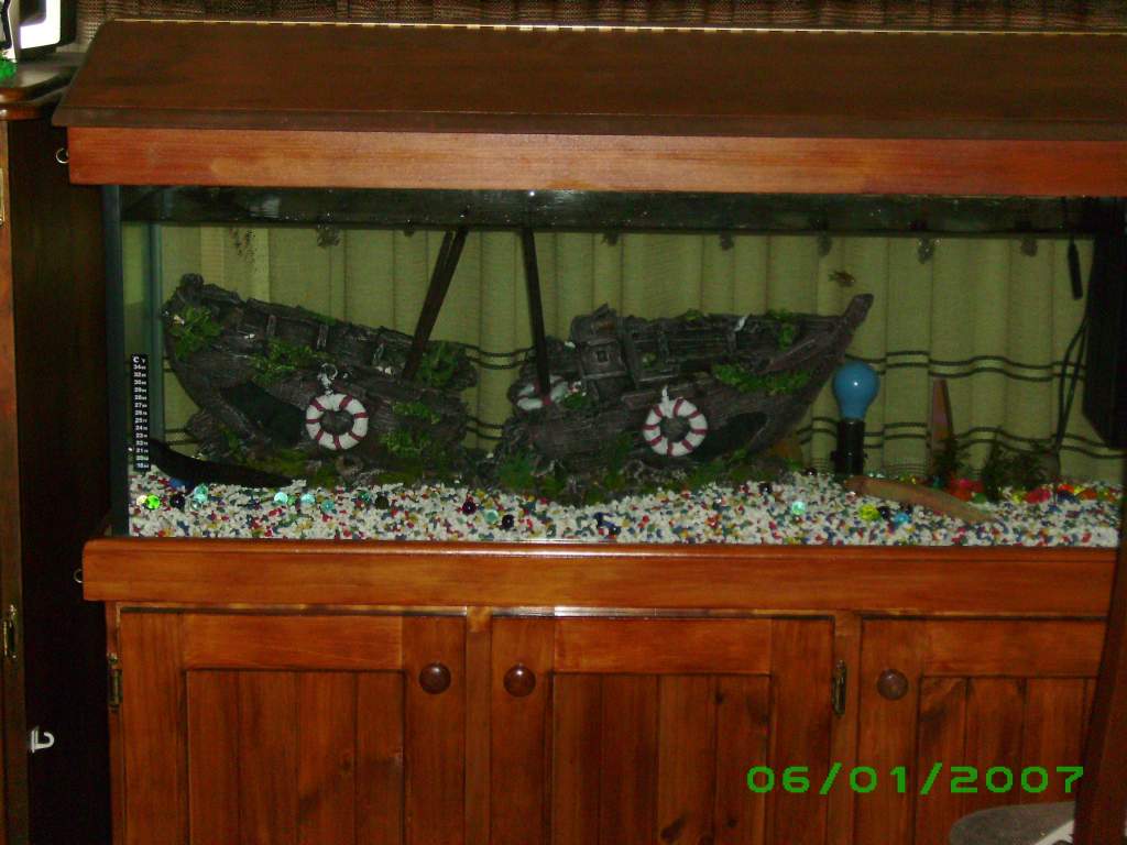My 4ft 200L Axolotl tank setup with bio filter and dripper circulation system
Pirate Ship theme
a few Aquatic plants