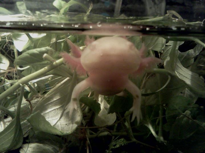 My baby boy