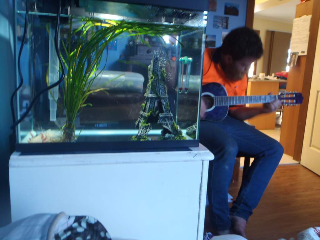 my brother playing a song for Amigo
