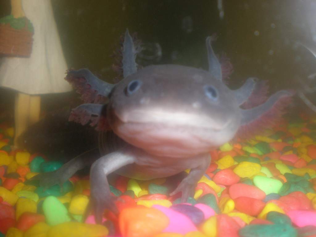 My favourite picture of Sebastiene!