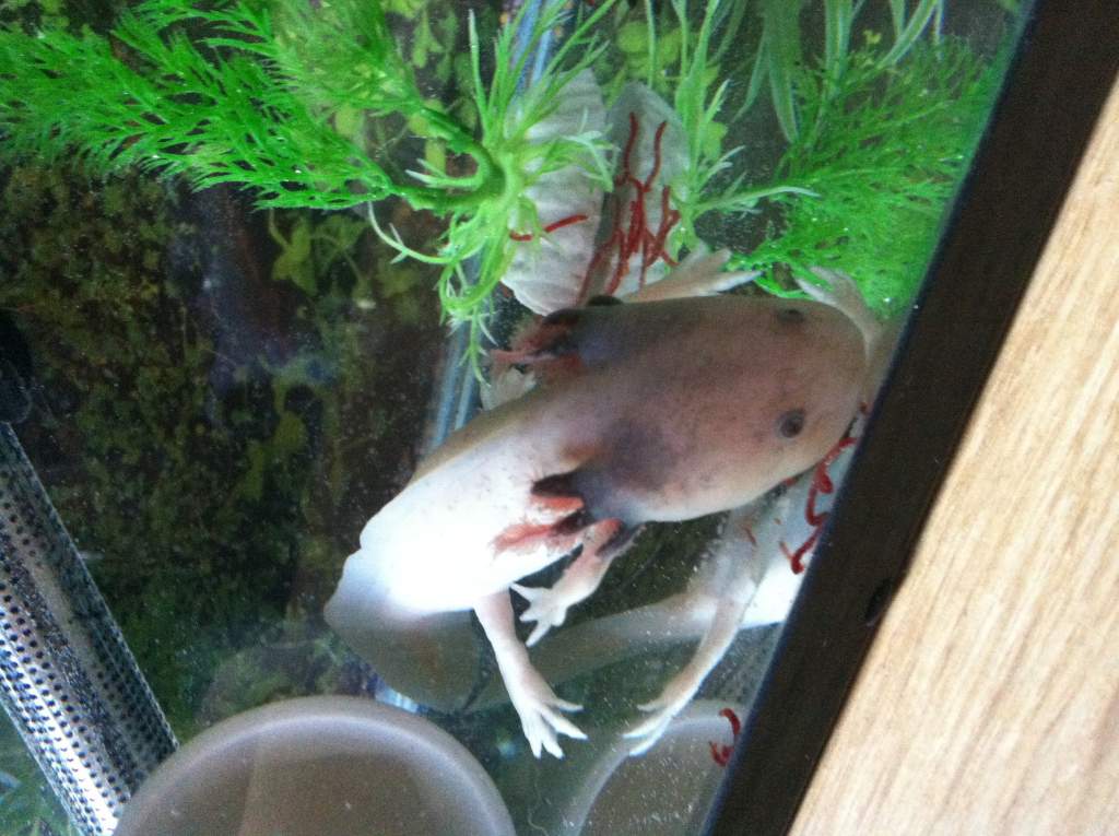 My first day with my new mommy