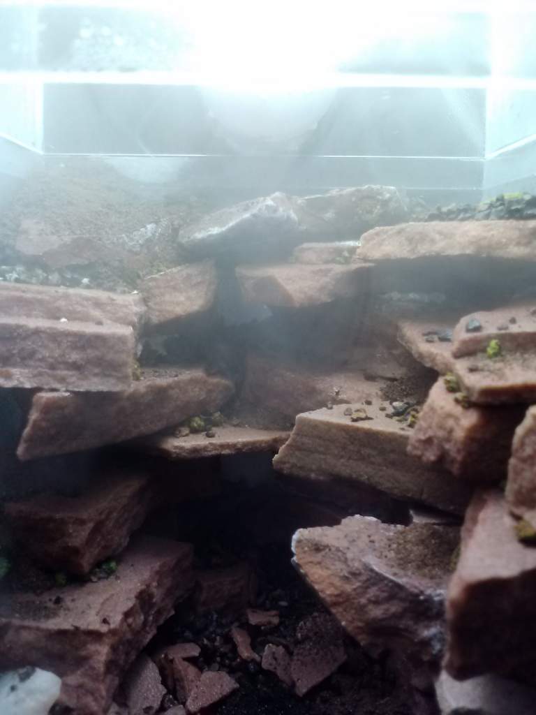 My initial set up: the stone is flagstone epoxied in place