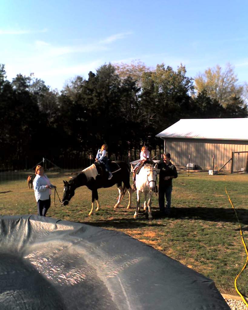my kids riding the horses with grandparents.
