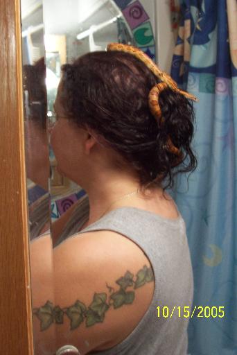 My new hairdo, courtesy of Binky