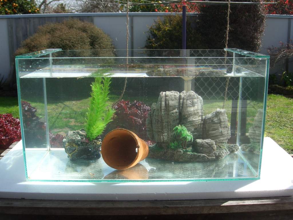 My new tank! Was doing a leak test in this picture