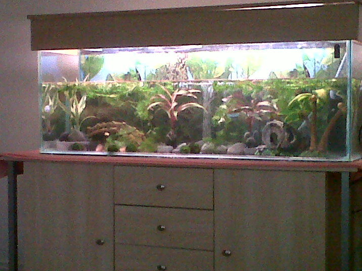 My new tank