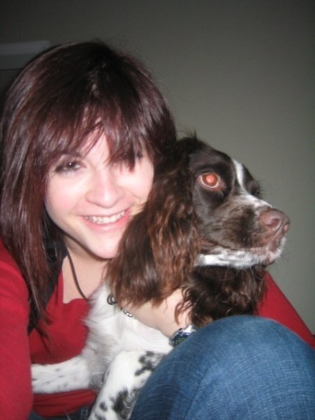 My wonderful Springer Spaniel, Zoe. Trying to escape from her overly affectionate human.