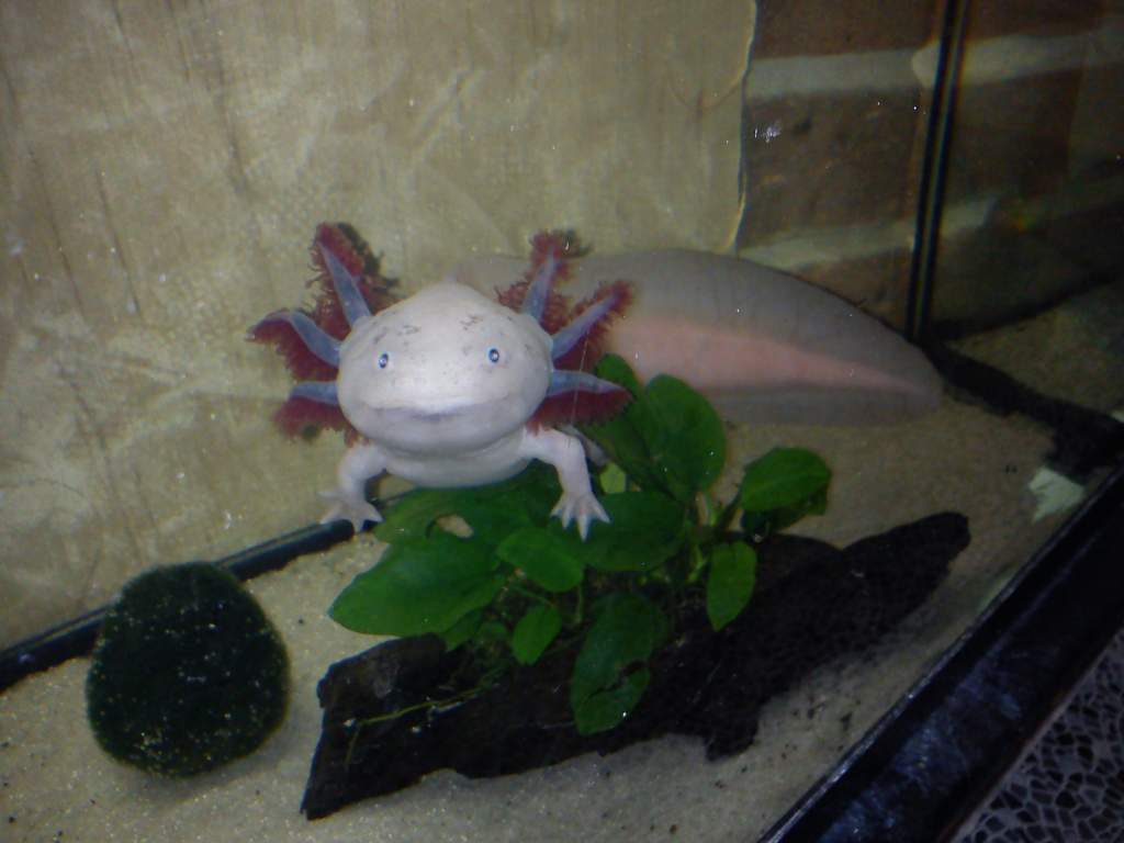 naughty face :)