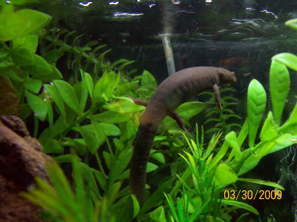 ned getting camra shy