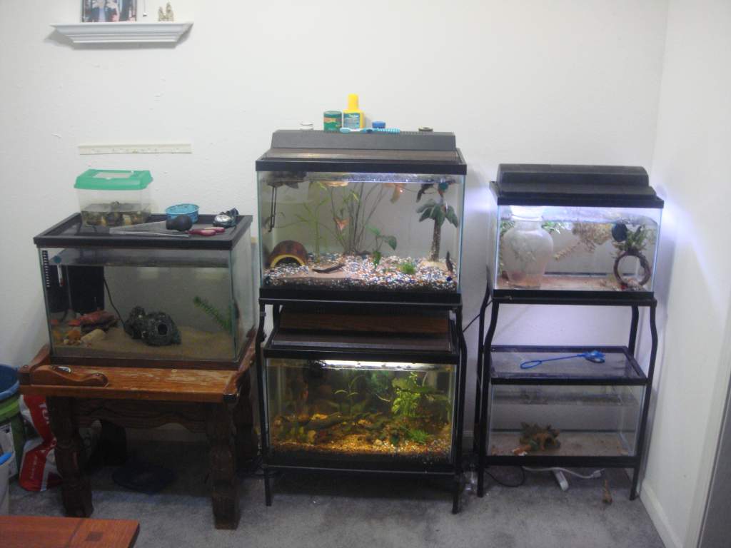 Need more tanks.....