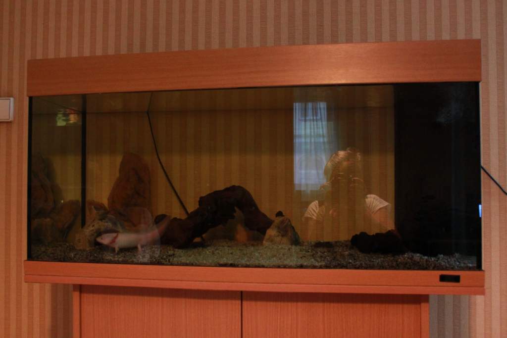 New 180L tank