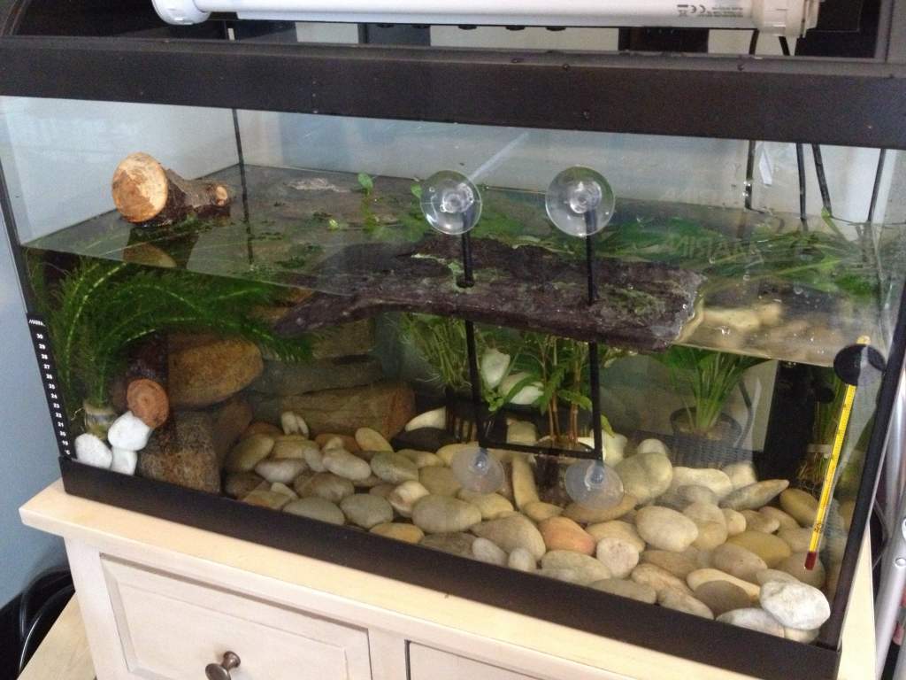 New 60L aquarium
