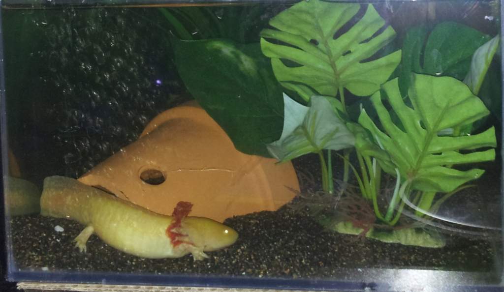 new addition
 14/7