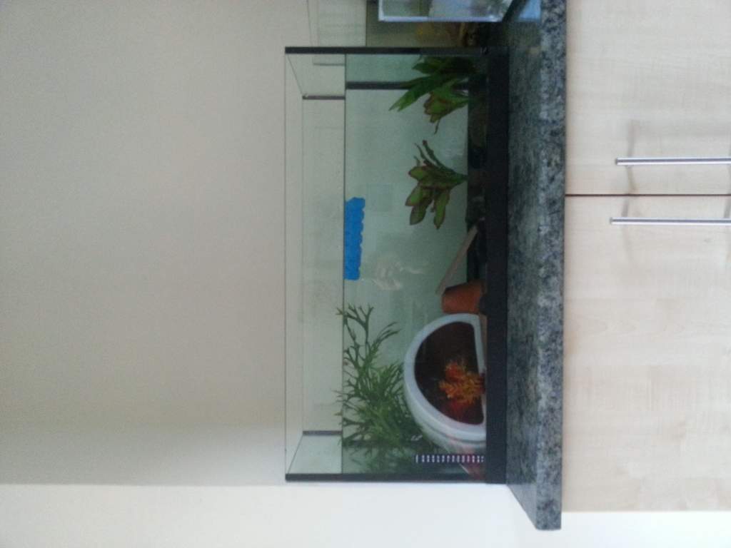 New larger tank