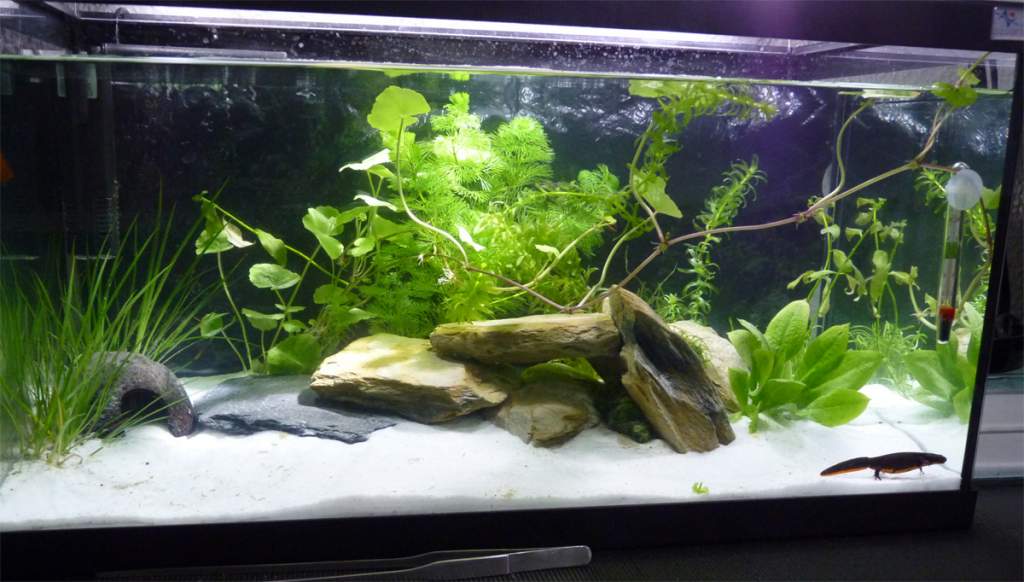 new setup