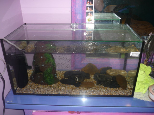 new tank