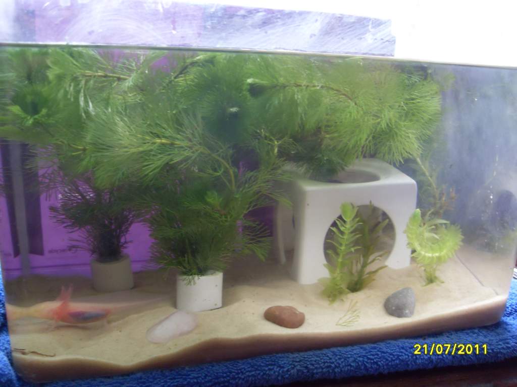 new temp. setup