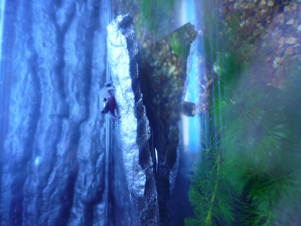 Nigel on his make shift floating island