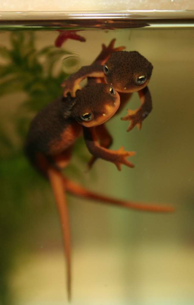 [No title]