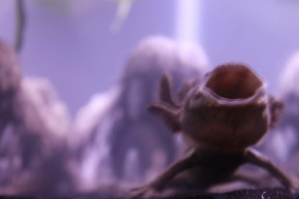 [No title]
