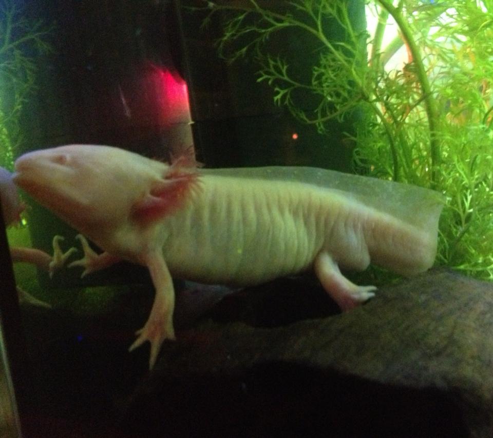 [No title]