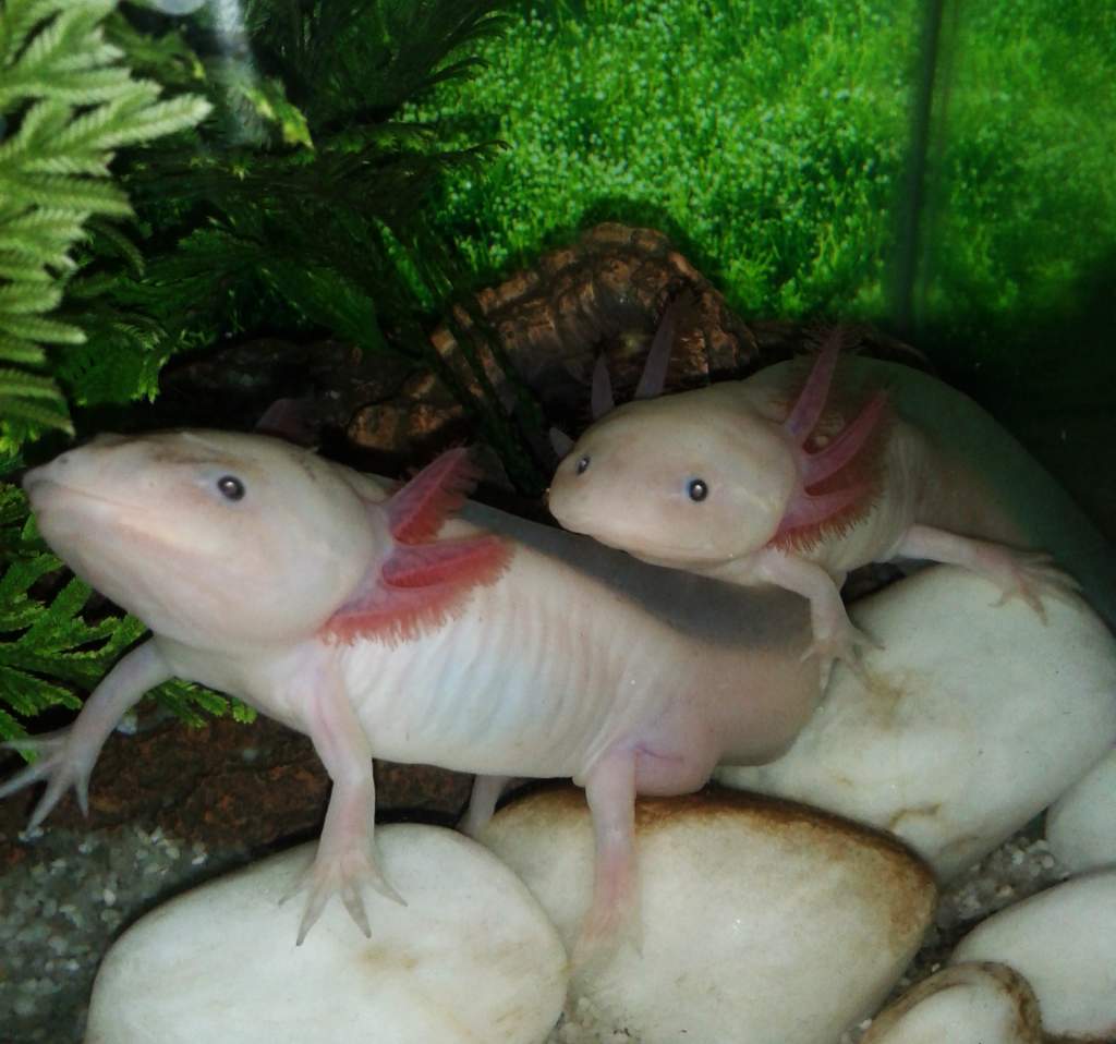 [No title]