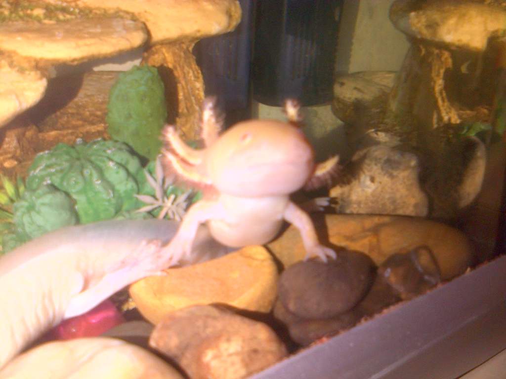 Nosey!