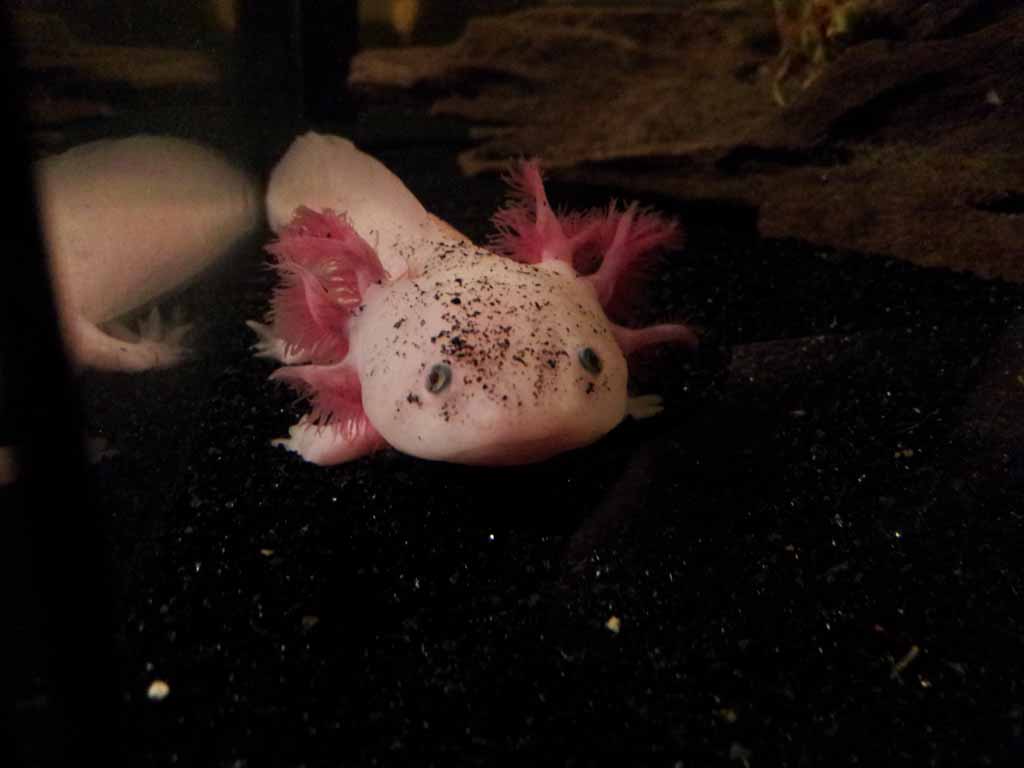 November 26, 2011

Marinus in a different angle on day 1.