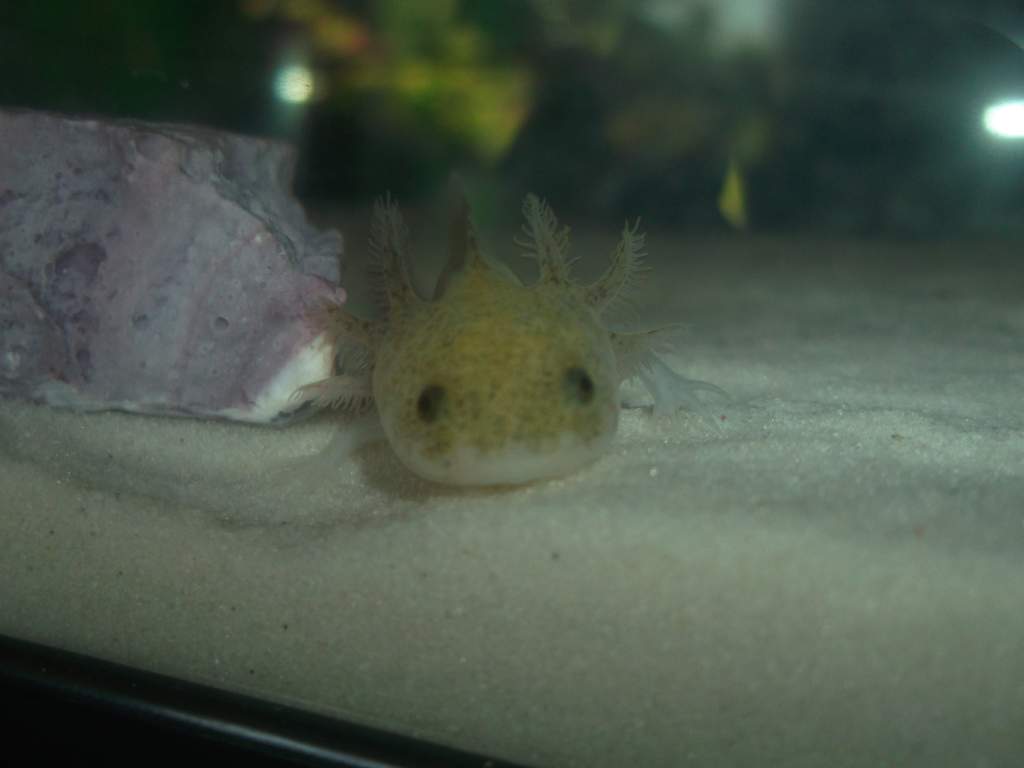 Oh hi!