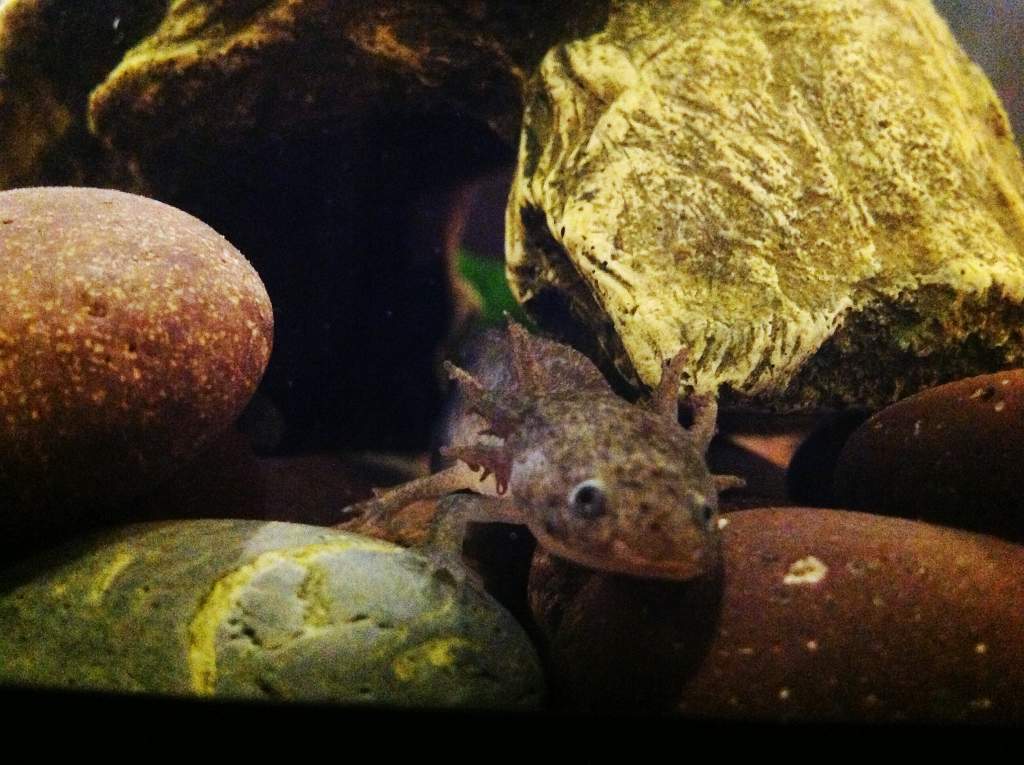 Oh hi